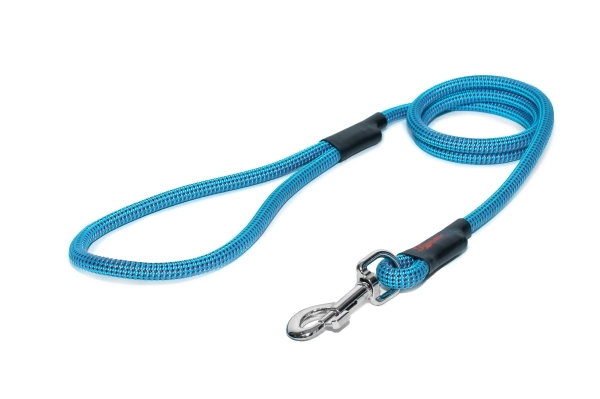 klassische Hundeleine - L - 175cm - hellblau mit roten Punkten